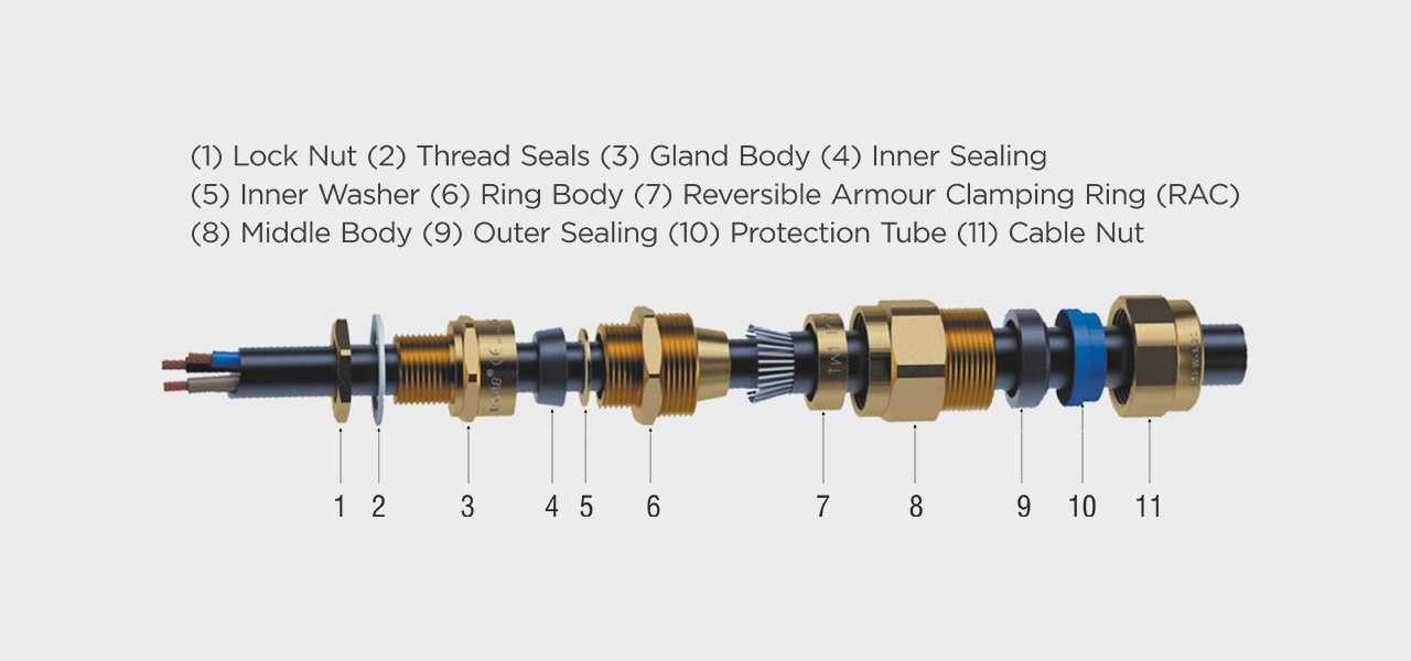 Difference Between Single and Double Compression Cable Gland