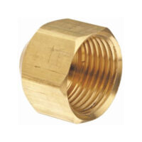 cap-1